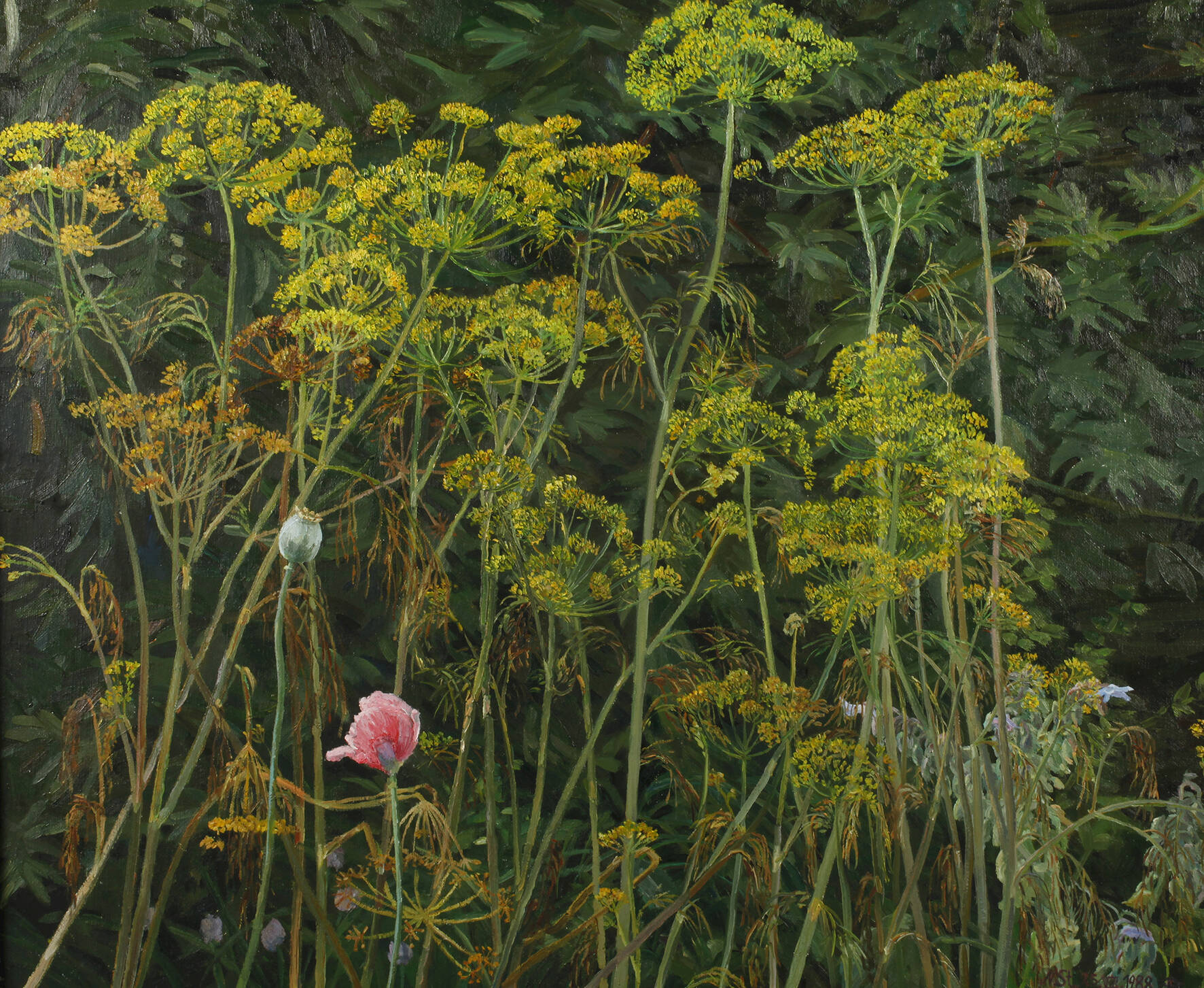 Nikolaus Störtenbecker, "Alter Dill"