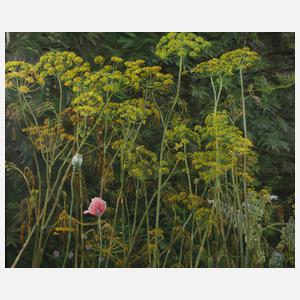 Nikolaus Störtenbecker, "Alter Dill"