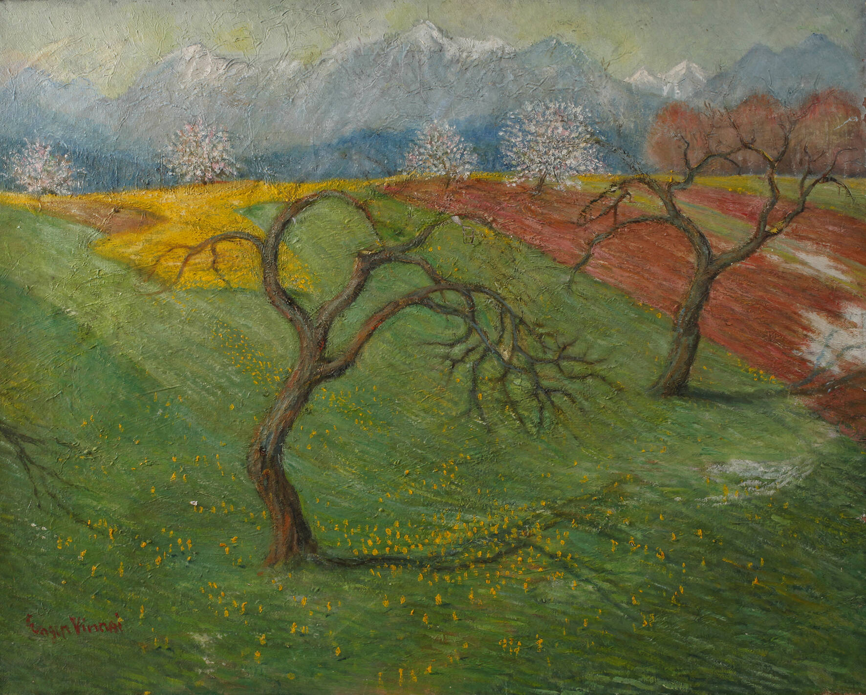 Eugen Vinnai, Blühende Obstbäume