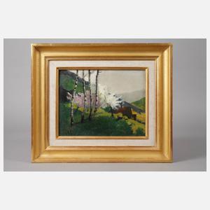 Schwarzwälder Frühlingslandschaft