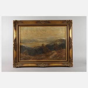 Mittelgebirgslandschaft