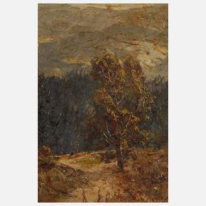 Mittelgebirgslandschaft