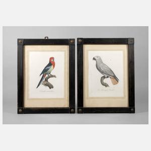 Spätklassizistisches Rahmenpaar