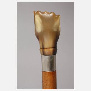 Spazierstock Horn