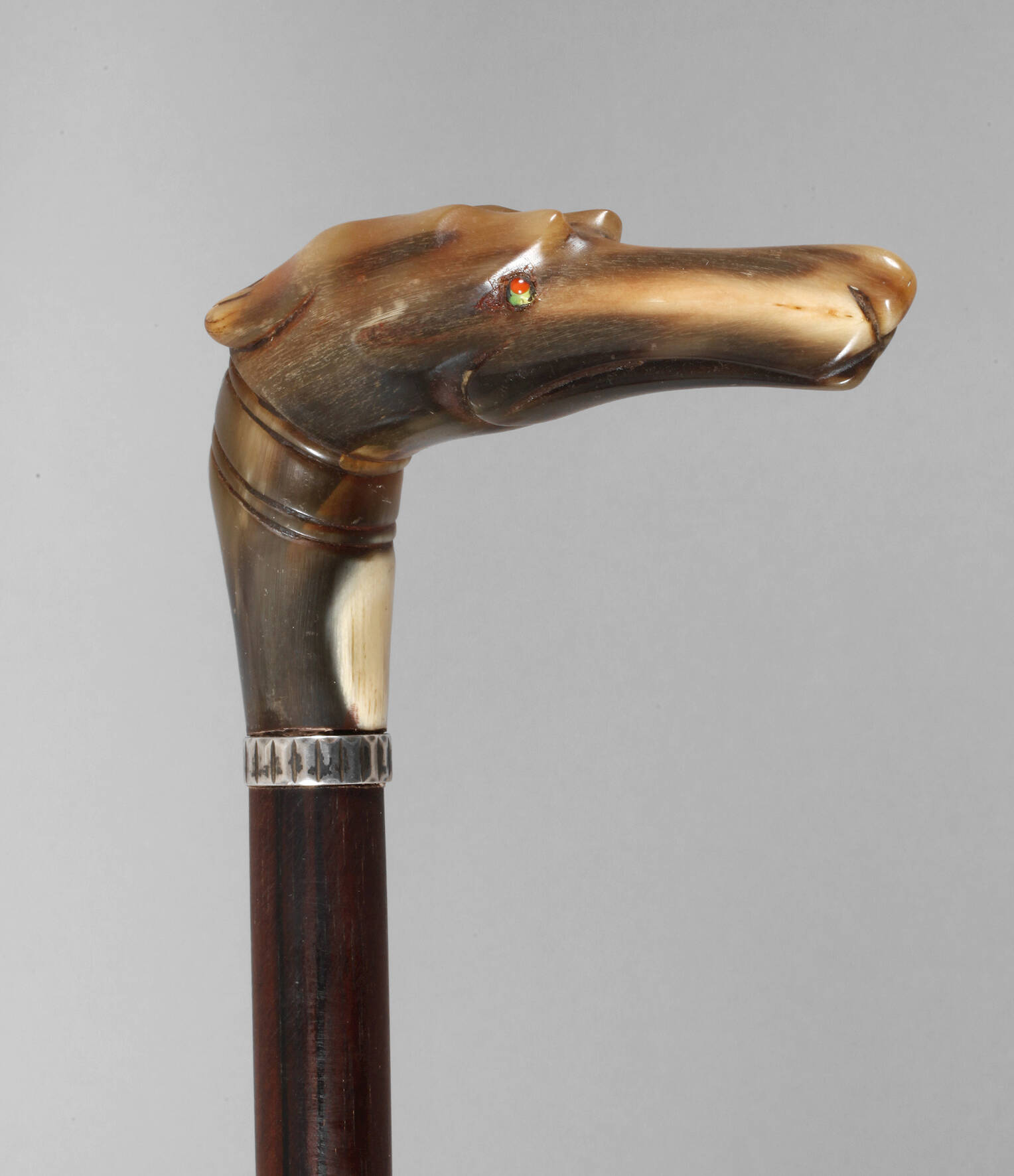 Spazierstock Horn