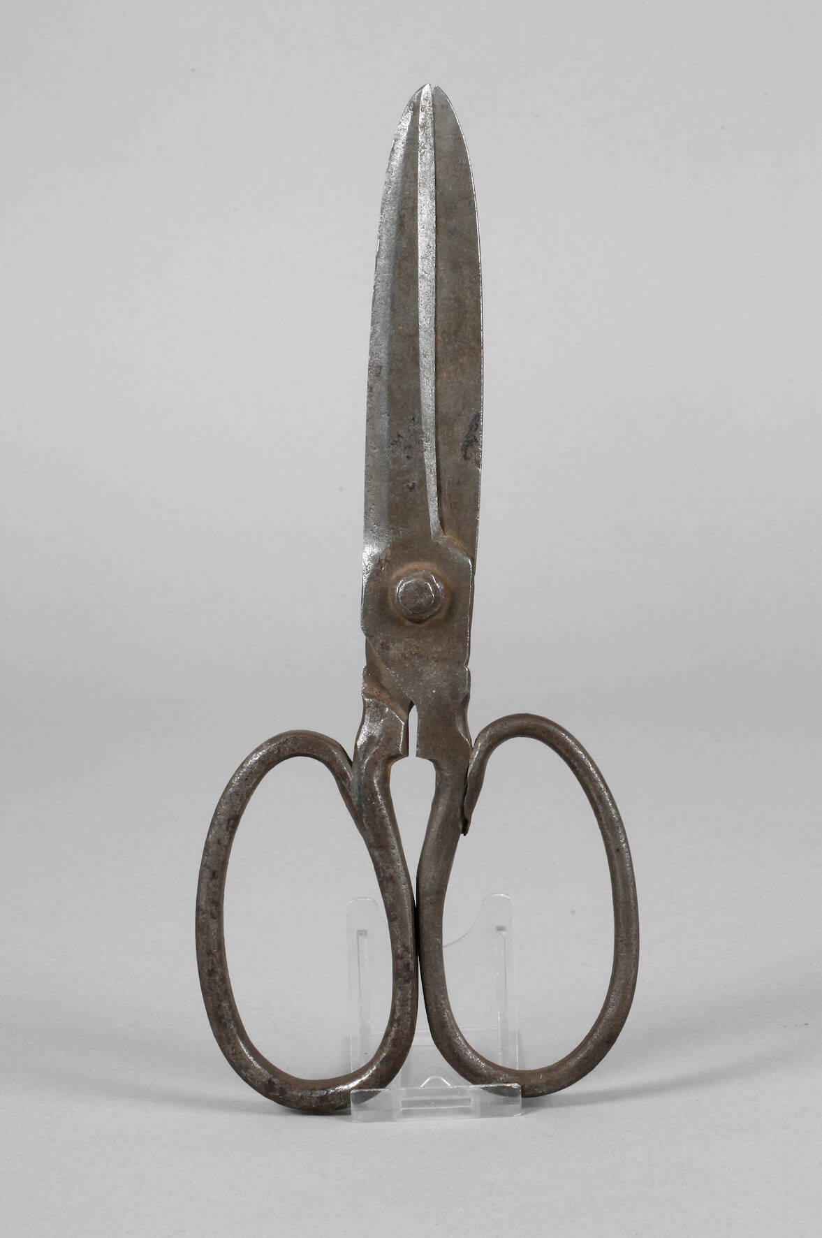 Große Schneiderschere