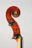 Violine