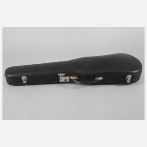 Violine im Etui