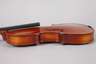 Violine
