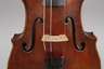 Violine