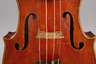 Violine Giuseppe Salvadori