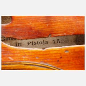 Violine Giuseppe Salvadori