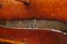 Violine Enrico Rossi
