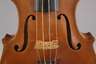 Violine