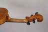 Violine