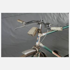 Fahrrad Diamant Toursport