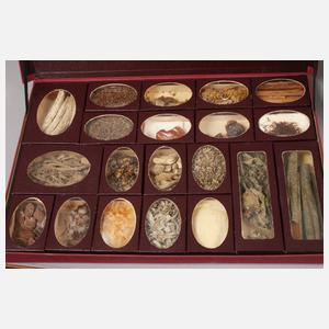 Hageda "Drogensammlung"