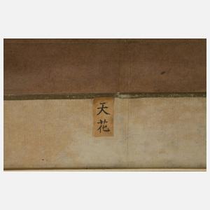 Chinesische Drachendarstellung