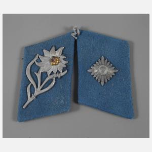 Kragenspiegel Gruppe Hochland