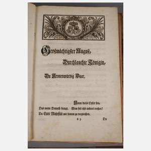 Die merkwürdigsten Brücken