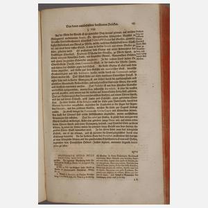 Die merkwürdigsten Brücken