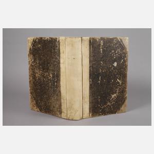 Die merkwürdigsten Brücken