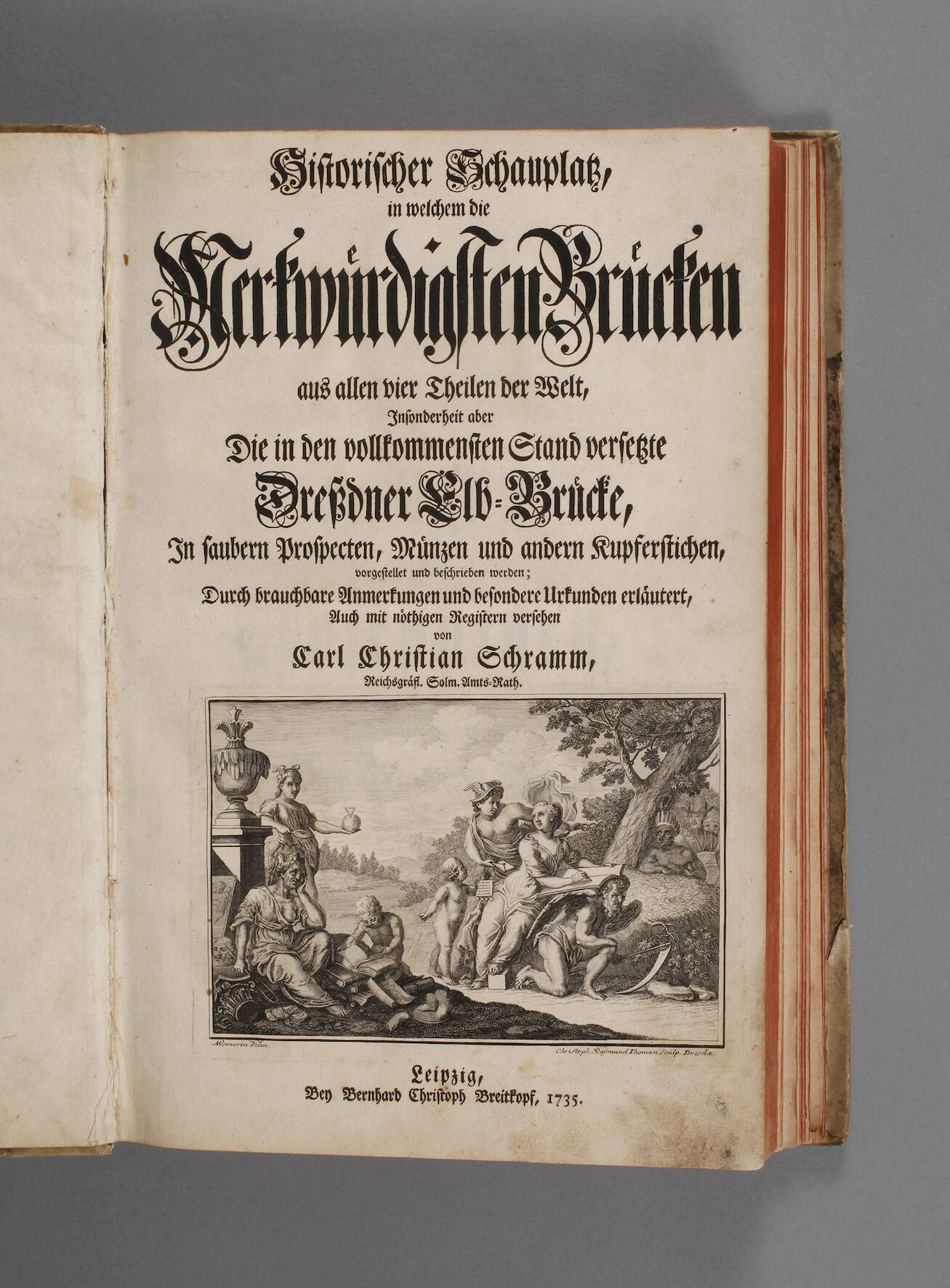 Die merkwürdigsten Brücken