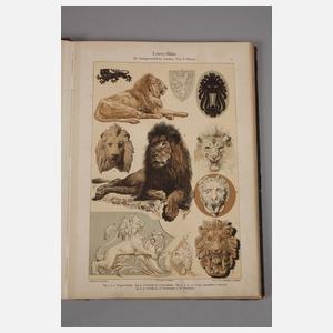 Dekorative Vorbilder