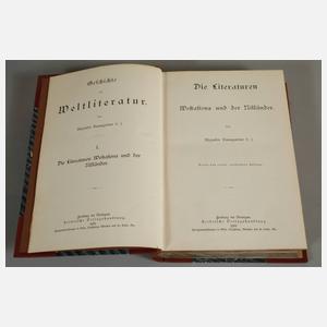 Geschichte der Weltliteratur