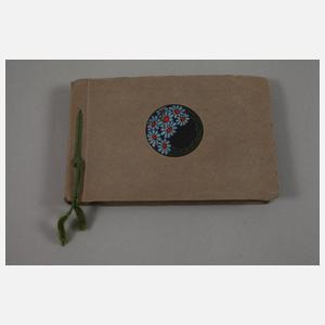 Ansichtskartenalbum Alpen