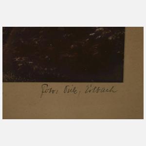 Foto Landesgemeindetal im Vogtland