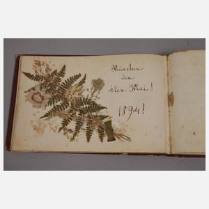 Sammlung Poesiealben