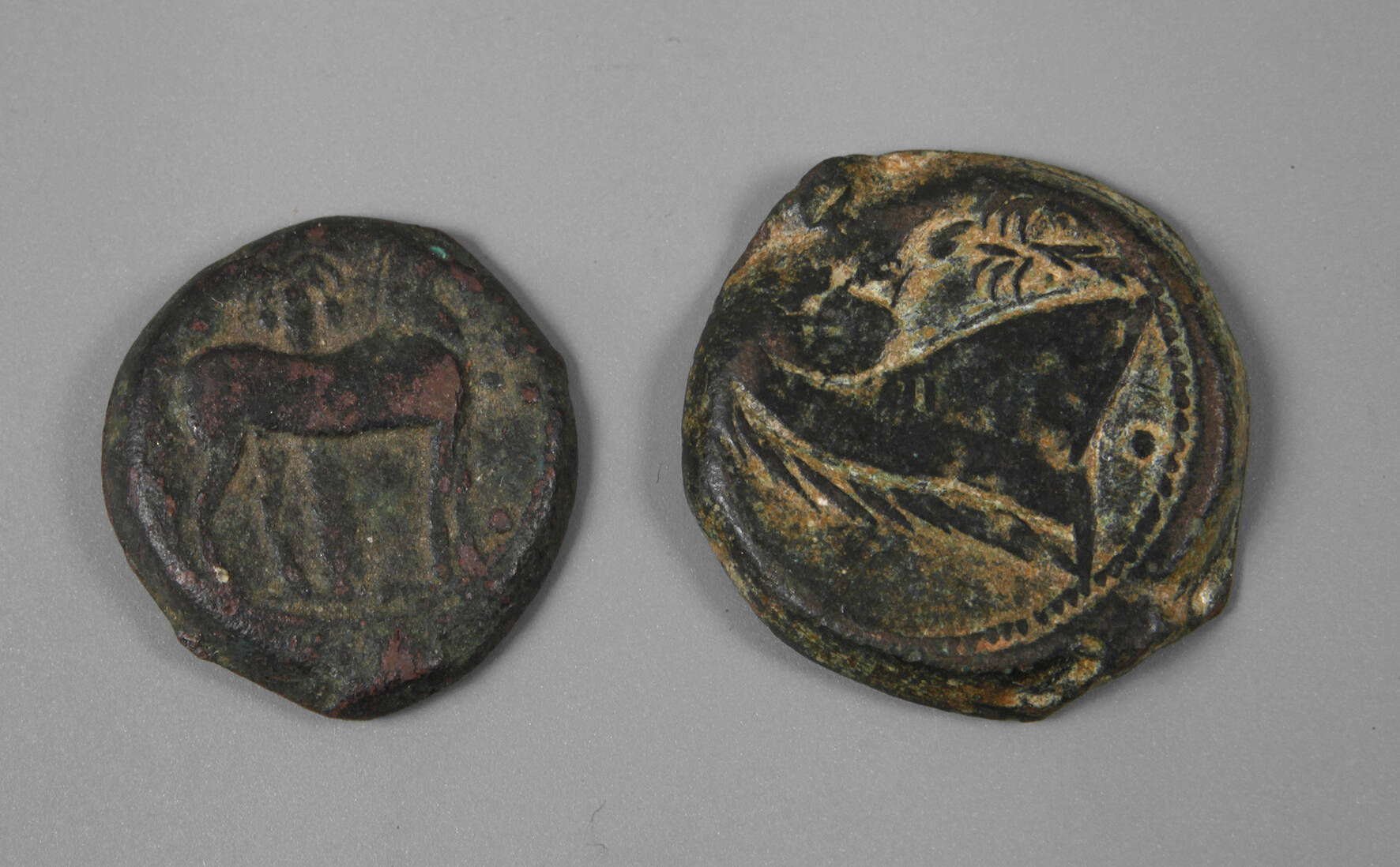 Zwei Münzen Nordafrika