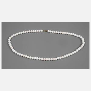 Kette Engelshautkoralle