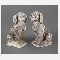 Paar kleine Hunde111