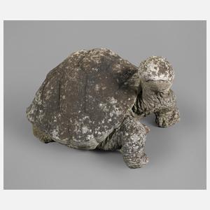 Gartenfigur Schildkröte