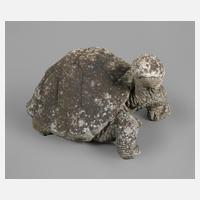 Gartenfigur Schildkröte111