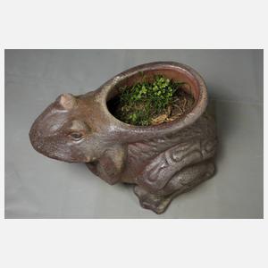 Pflanzschale Frosch
