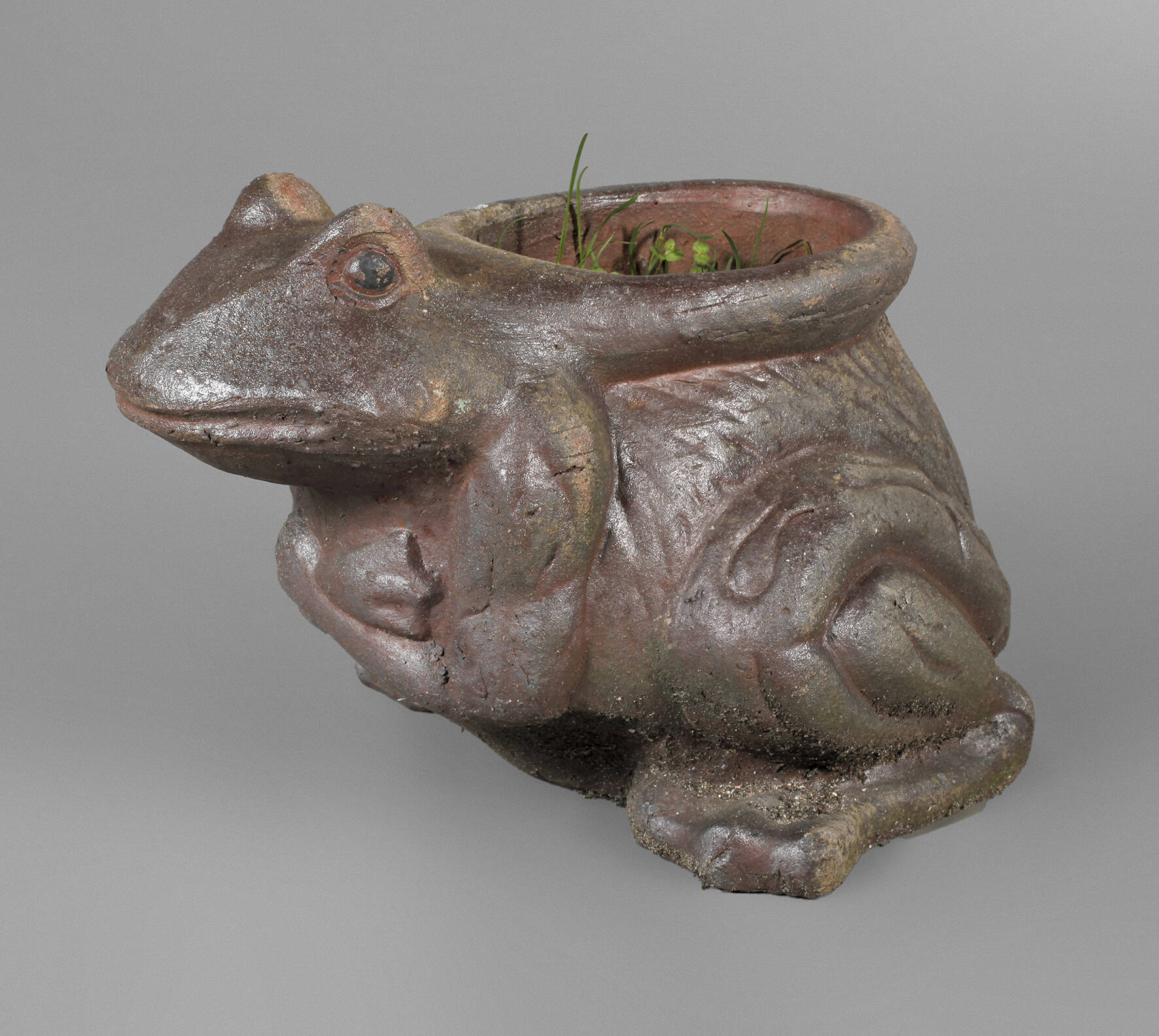 Pflanzschale Frosch