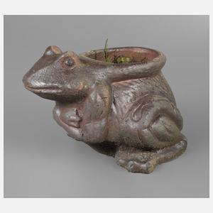 Pflanzschale Frosch