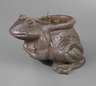 Pflanzschale Frosch