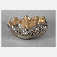 Große Muschelschale111