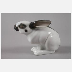 Galluba & Hofmann Ilmenau Hase