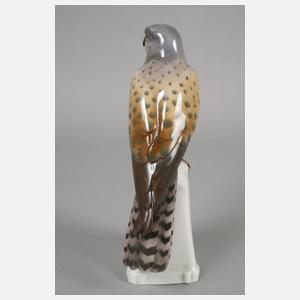 Goebel Turmfalke