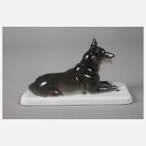 Heubach Lichte kleiner Schäferhund