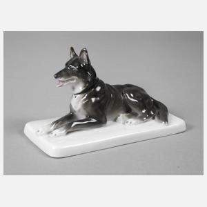 Heubach Lichte kleiner Schäferhund