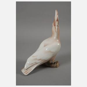 Heubach Lichte Kakadu