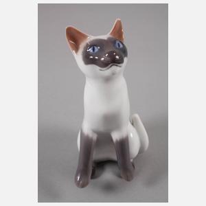 Kopenhagen "Siamkatze"