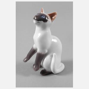 Kopenhagen "Siamkatze"