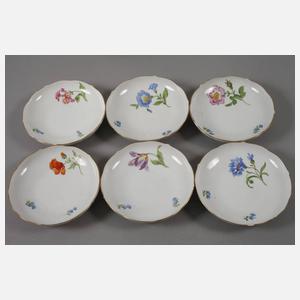 Meissen Kaffeeservice "Blume 1"